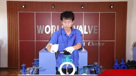 Food Grade White Plastic PTFE PFA Lined Coated Sanitary Wafer Control Butterfly Valve for Strong Basicity Chemical Industry